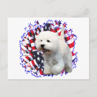 West Highland White Terrier Patriot Postcard