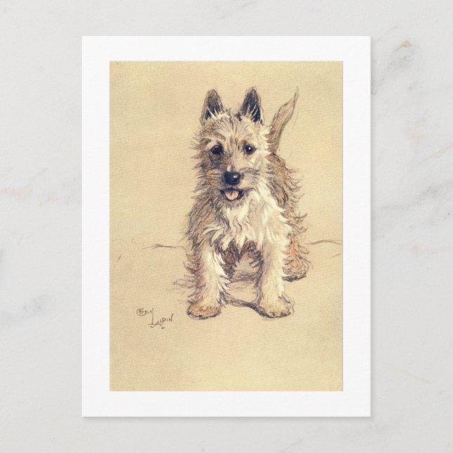 West Highland White Terrier Postcard (Front)