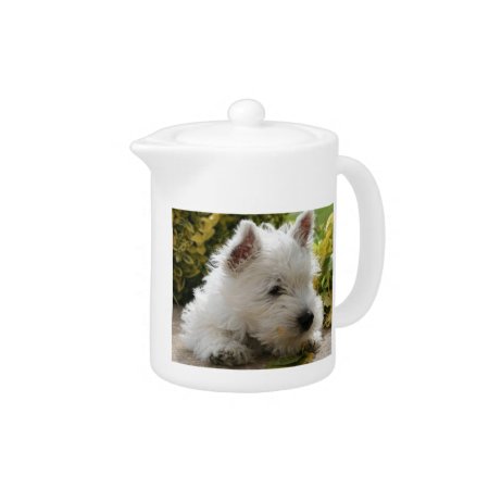 West Highland White Terrier Puppy Teapot
