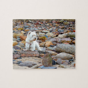 West Highland White Terrier Puzzle