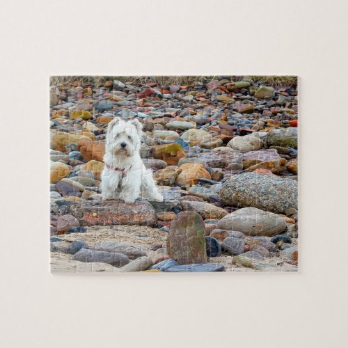 West Highland White Terrier Puzzle