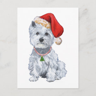 West Highland White Terrier Santa Claus Holiday Postcard