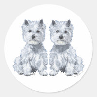 West Highland White Terrier Twins!