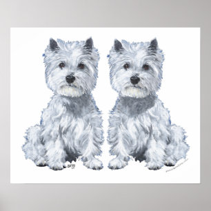 West Highland White Terrier Twins! Poster