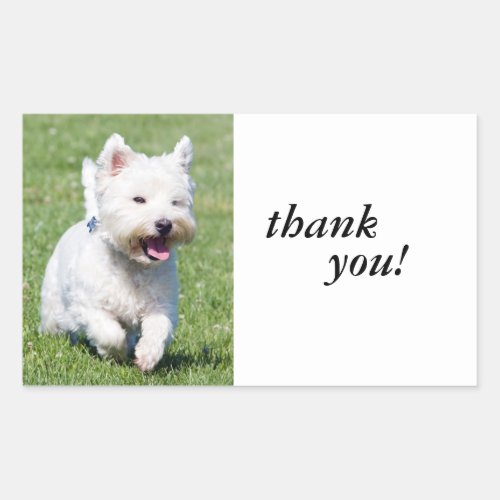 West Highland White Terrier westie dog cute photo Rectangular Sticker
