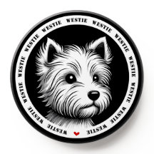 West Highland White Terrier / Westie