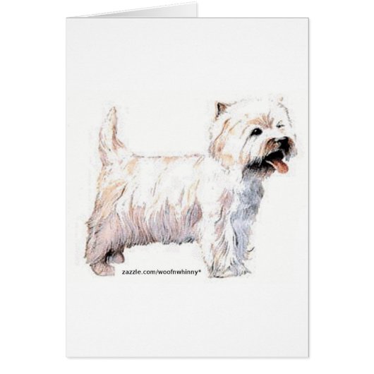 West Highland White Terriers Cards (Front)
