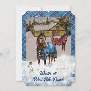 west hills ranch thoroughbred