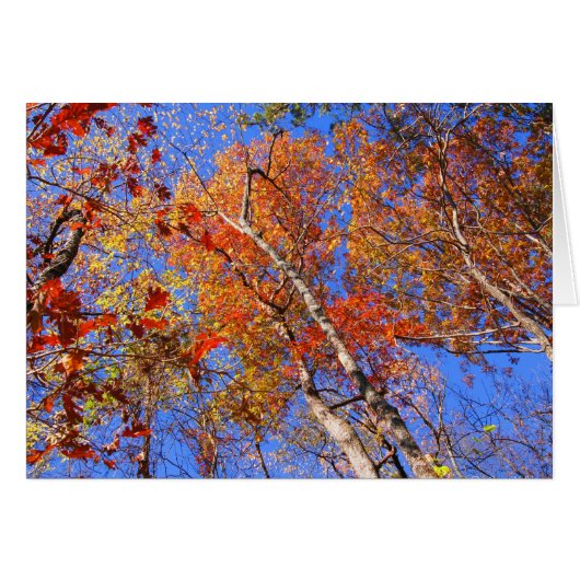 West Mt. Autumn Hot Springs National Park Gifts (Front Horizontal)