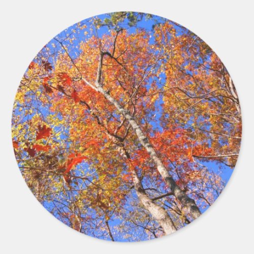 West Mt Autumn Hot Springs National Park Gifts Classic Round Sticker