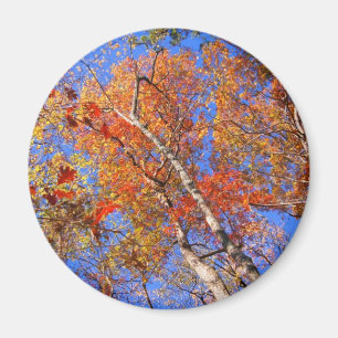 West Mt. Autumn Hot Springs National Park Gifts Magnet