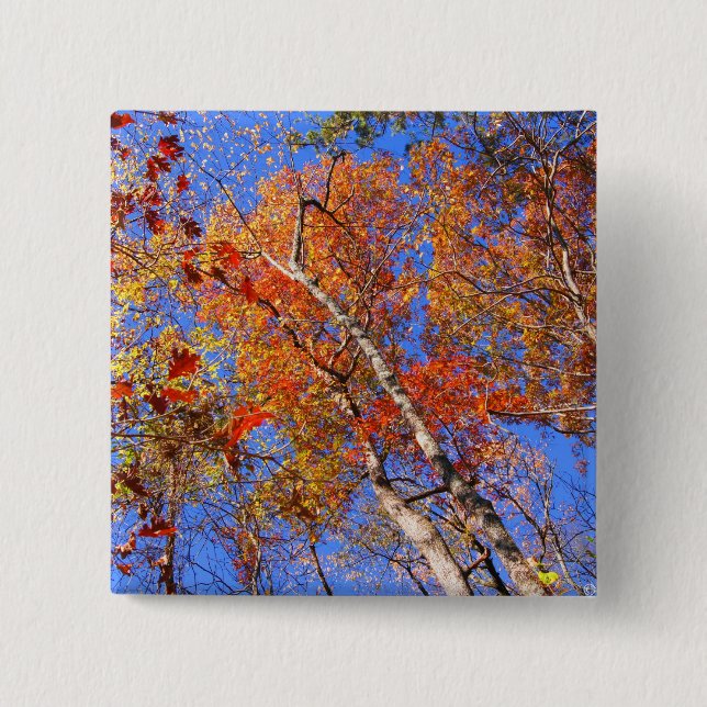 West Mt. Autumn Hot Springs National Park Gifts Pinback Button (Front)