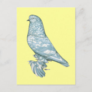 West of England Tumbler:  Lavender Mottle Postcard