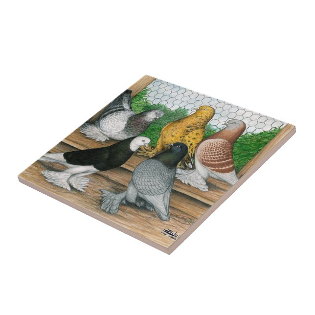 West of England Tumbler Pigeons  Ceramic Tile (Side)