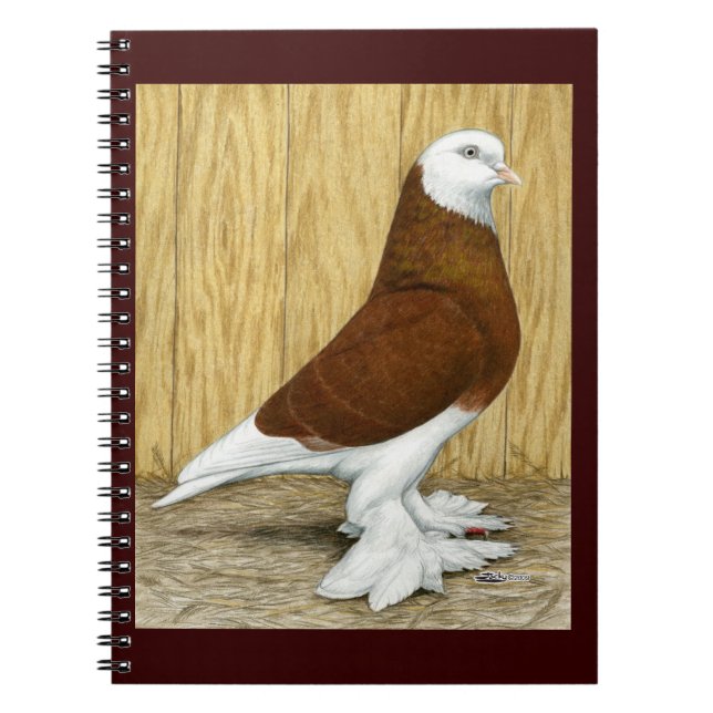 West of England Tumbler Red Baldhead Notebook (Front)