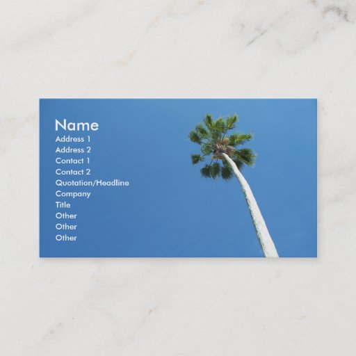 Customizable West Palm Beach Florida Palm Tree Business Card