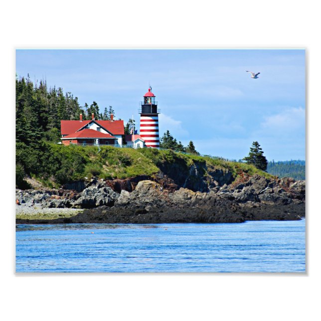 West Quoddy Head Lighthouse, Maine Photo Print (Front)