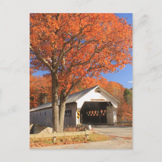 West River Covered Bridge and Oak Vermont Postcard (Front)