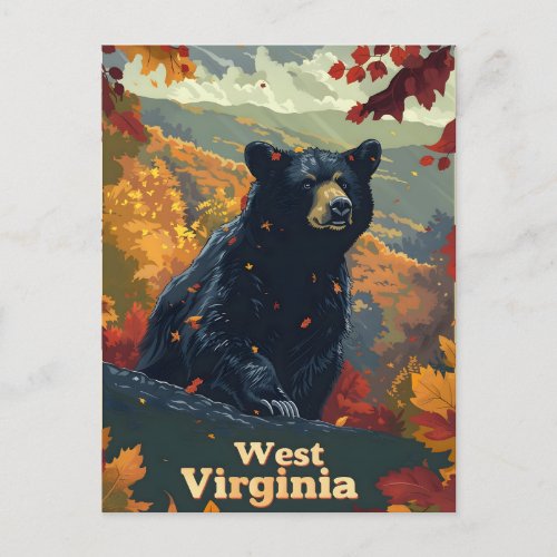 West Virginia Black Bear Postcard