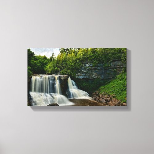 West Virginia _ Blackwater Falls State Park Canvas Print