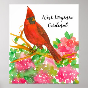West Virginia Cardinal Bird Pink Rhododendrons Poster