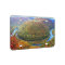 West Virginia Fall Foliage Aluminum License Plate
