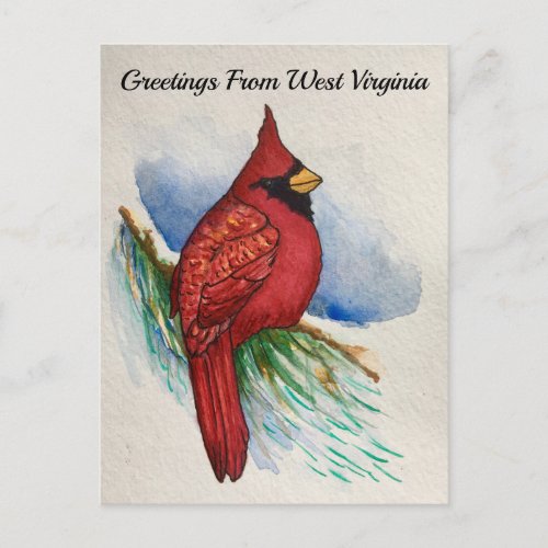 West Virginia State Bird Cardinal Watercolor Postcard