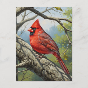 West Virginia State Bird Northern Cardinal Postcard