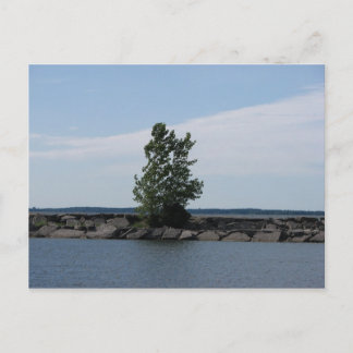 Westcott Bay Postcard