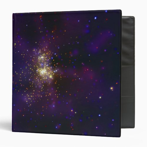 Westerlund 2 a young star cluster binder