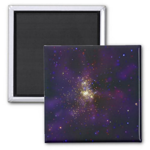 Westerlund 2 a young star cluster magnet