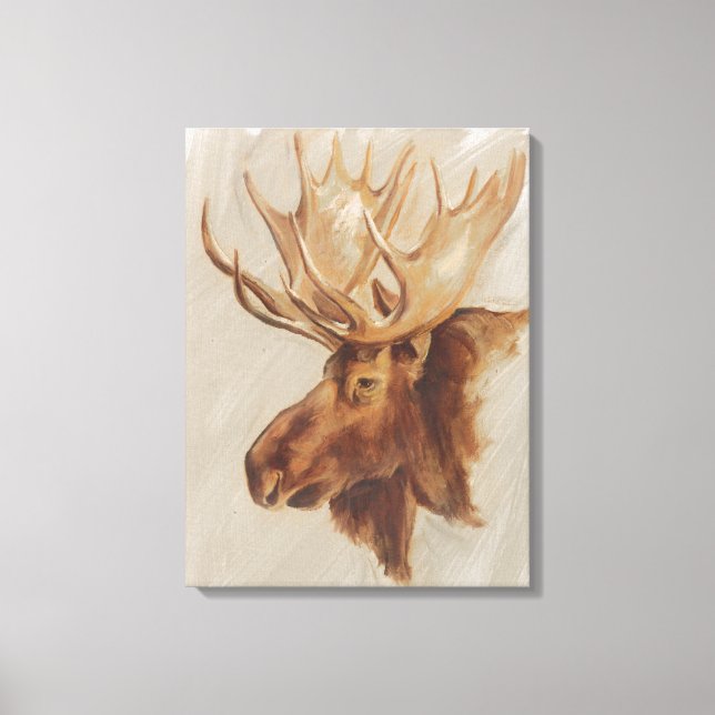 Western American Animal Study | Moose Portrait Canvas Print (Front)