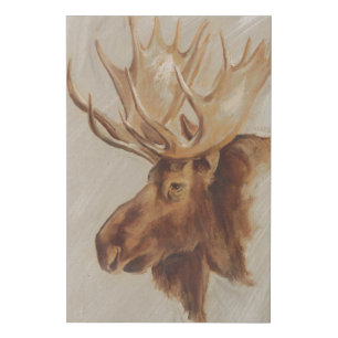 Western American Animal Study   Moose Portrait Faux Canvas Print