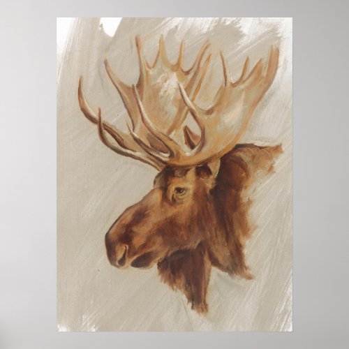 Western American Animal Study  Moose Portrait Poster