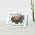 Western Art, Bison Christmas Card at Zazzle