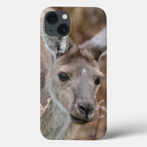 Western Australia Perth Yanchep National Park iPhone 13 Case