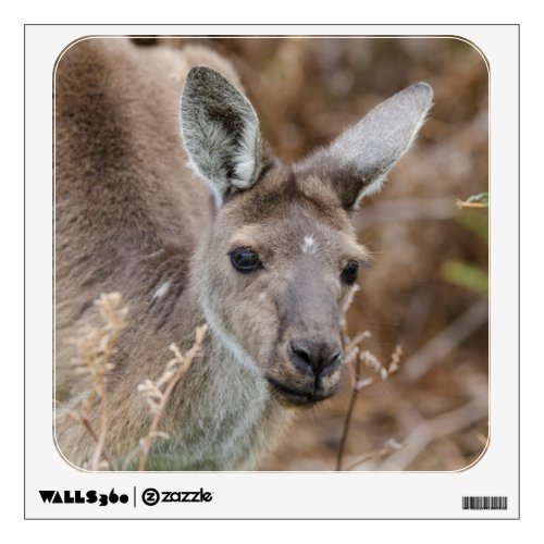 Western Australia Perth Yanchep National Park Wall Sticker