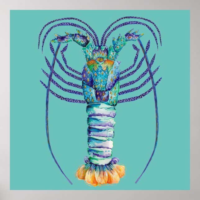 Western Australian Painted Rock Lobster Poster (Front)