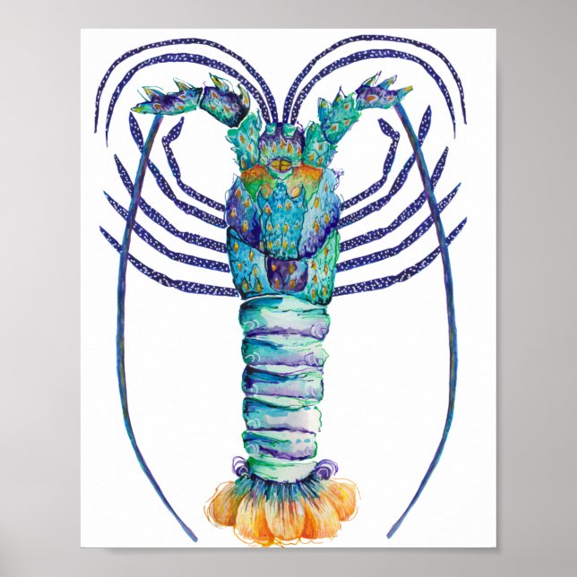 Western Australian Painted Rock Lobster  Poster (Front)