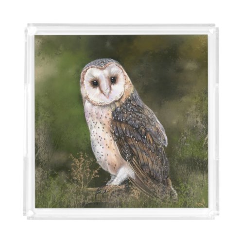 Western Barn Owl Acrylic Tray