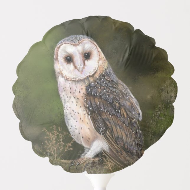Western Barn Owl Balloon (Front)
