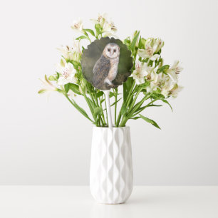 Western Barn Owl Balloon Gift