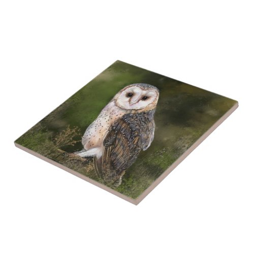 Western Barn Owl Ceramic Tile