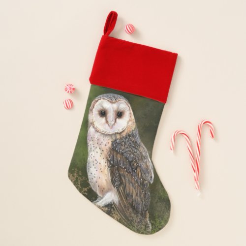 Western Barn Owl Christmas Stocking