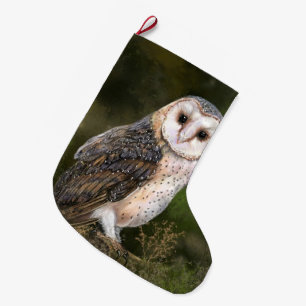 Western Barn Owl Christmas Stocking Gift