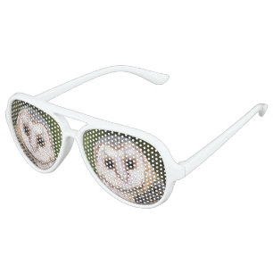 Western Barn Owl Funny Sunglasses