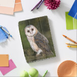 Western Barn Owl iPad Air Cover<br><div class="desc">Western Barn Owl iPad Air Covers - MIGNED Painting</div>