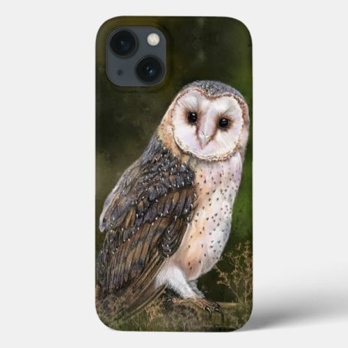 Western Barn Owl iPhone Case