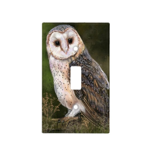 Western Barn Owl Light Switch Cover (Front)