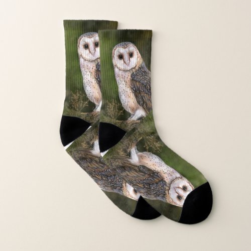 Western Barn Owl _ Migned Watercolor Art Painting Socks